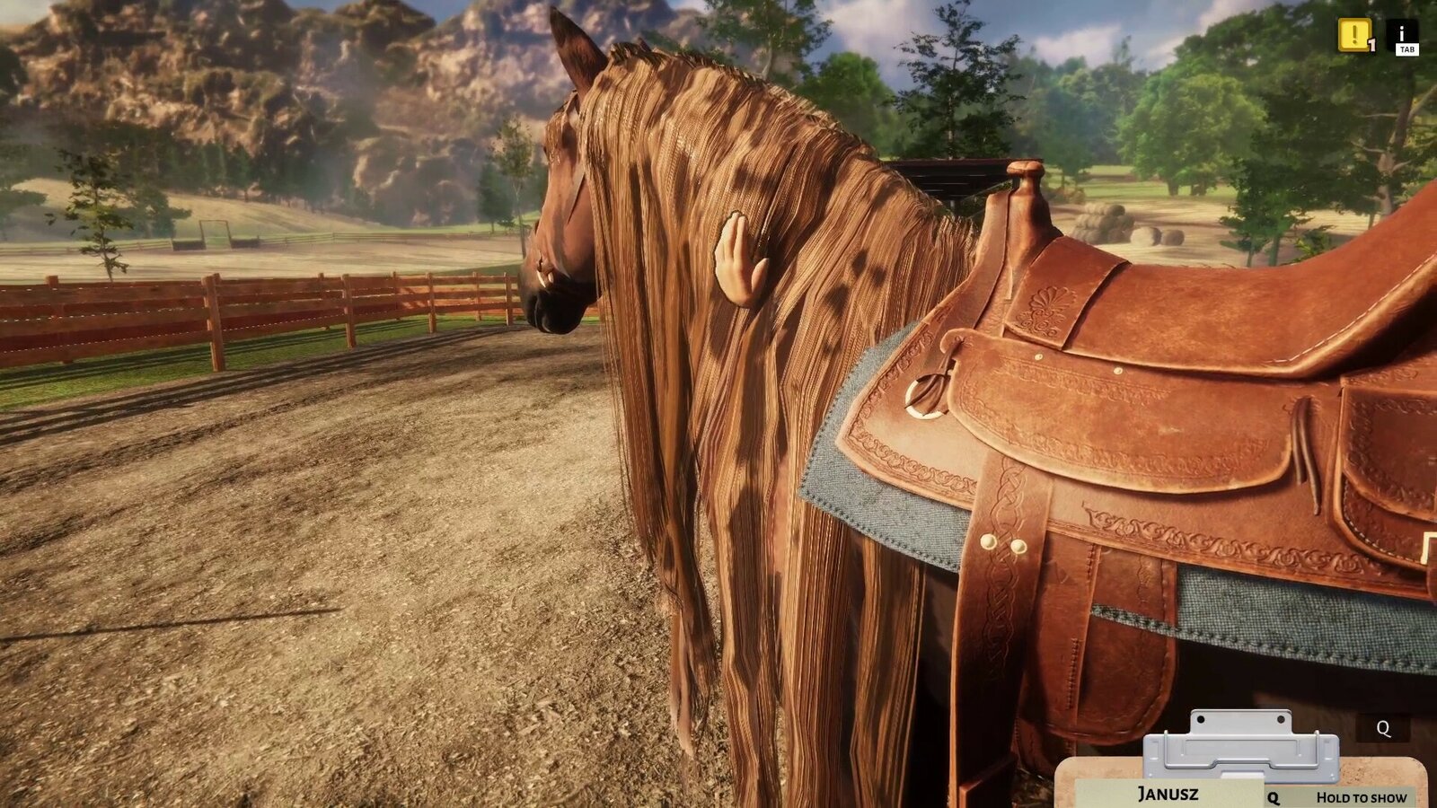 Animal Shelter - Horse Shelter