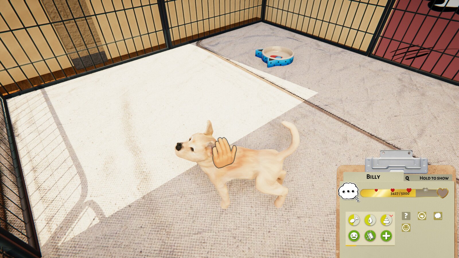 Animal Shelter - Puppies & Kittens