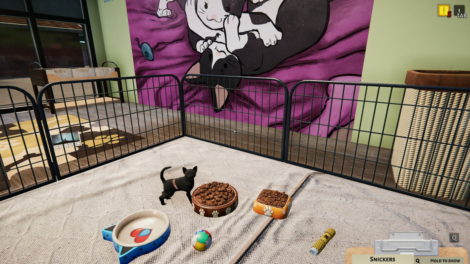 Animal Shelter - Puppies & Kittens