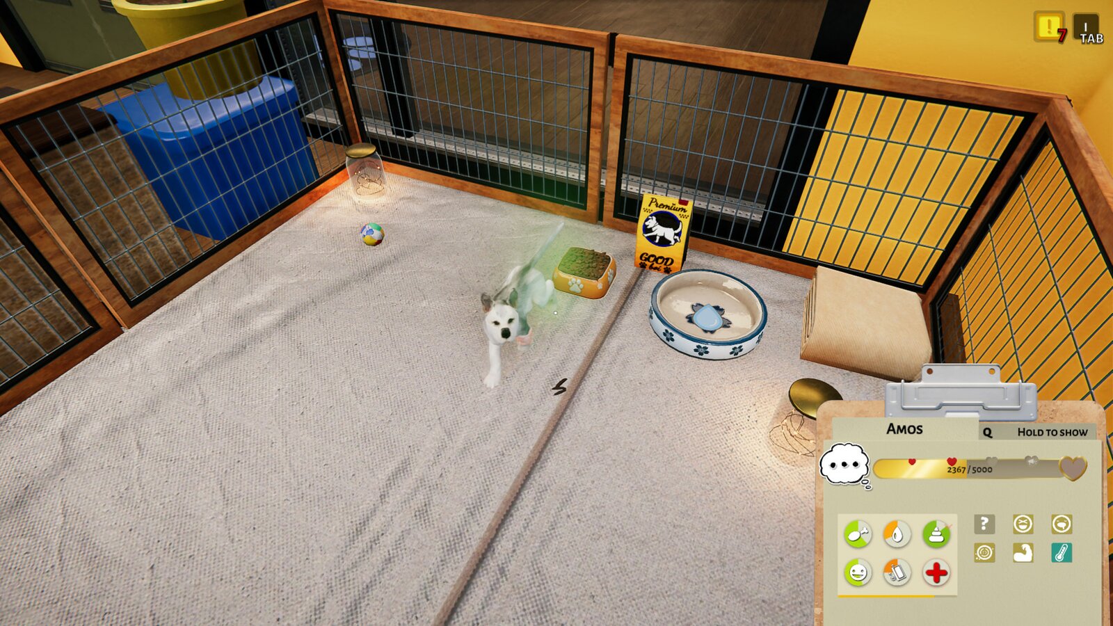 Animal Shelter - Puppies & Kittens