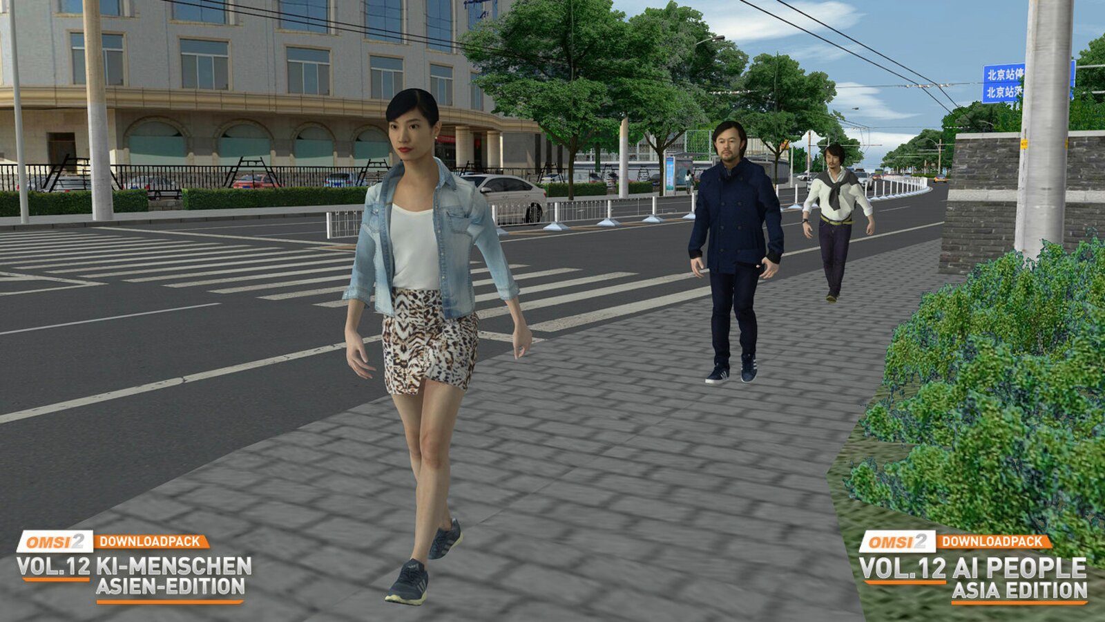 OMSI 2 - Add-on Downloadpack Vol. 12 - AI People - Asia Edition
