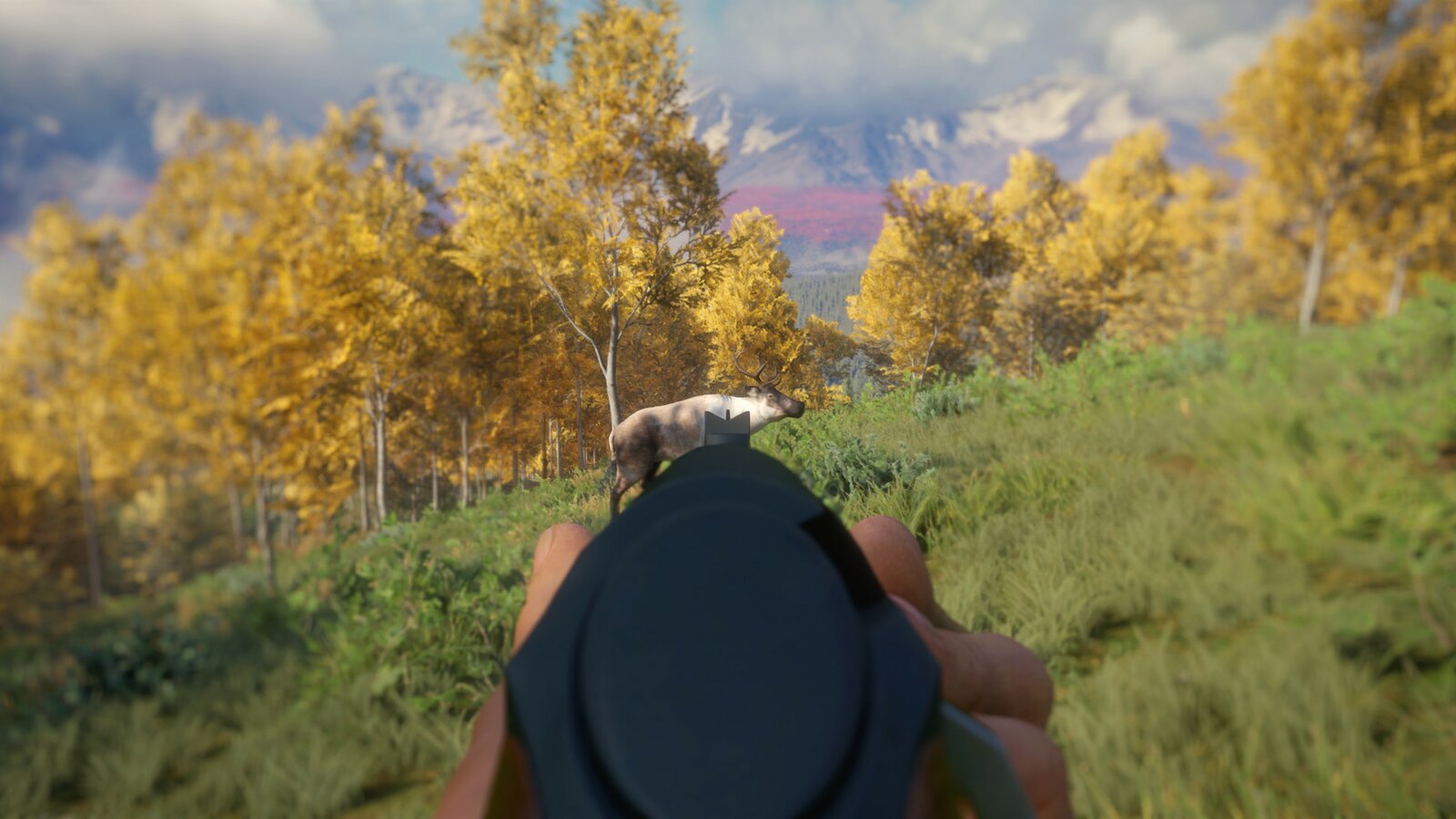 theHunter: Call of the Wild - Weapon Pack 3