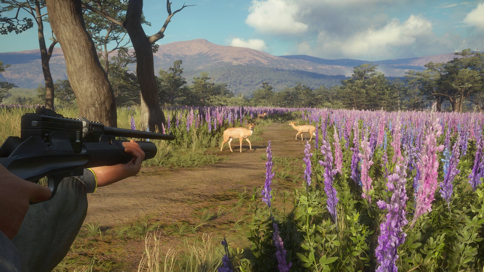 theHunter: Call of the Wild - Weapon Pack 3