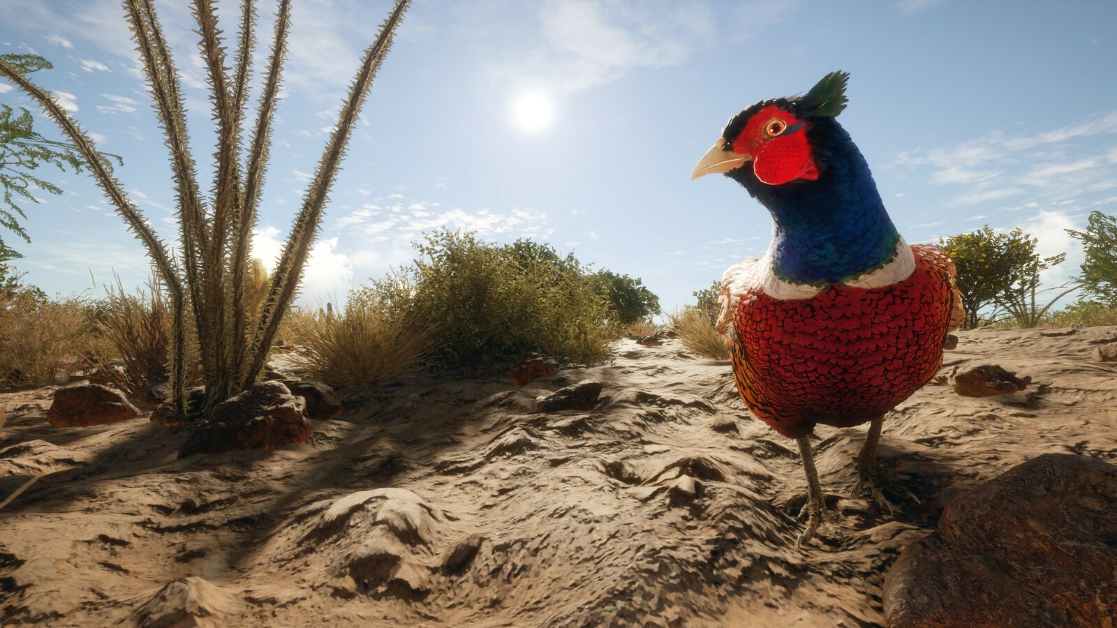 theHunter: Call of the Wild - Rancho del Arroyo