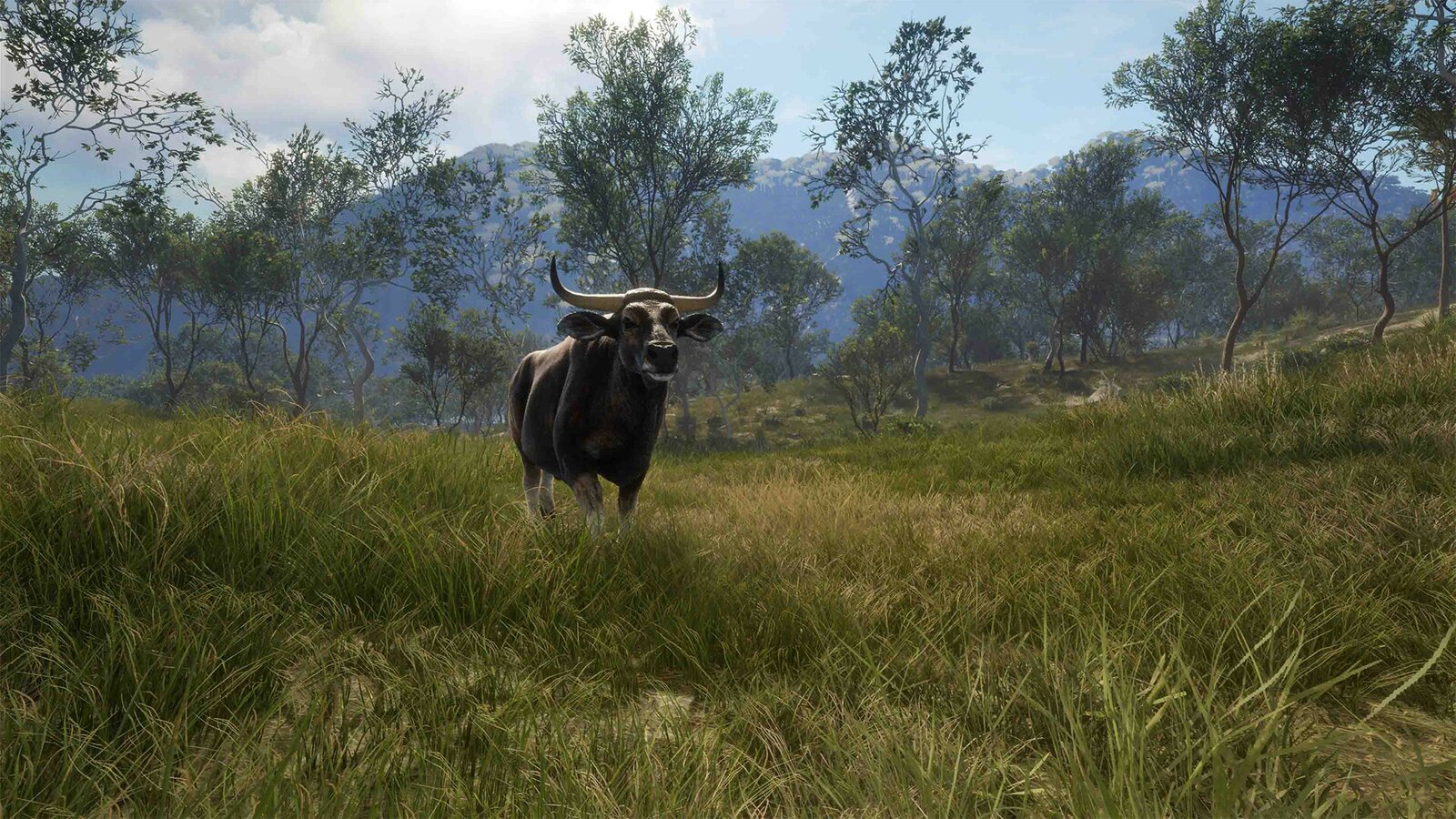 theHunter: Call of the Wild - Emerald Coast Australia