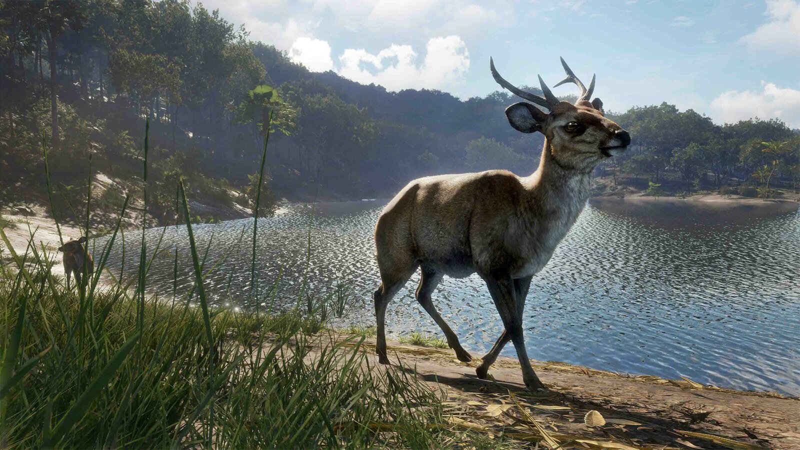 theHunter: Call of the Wild - Emerald Coast Australia