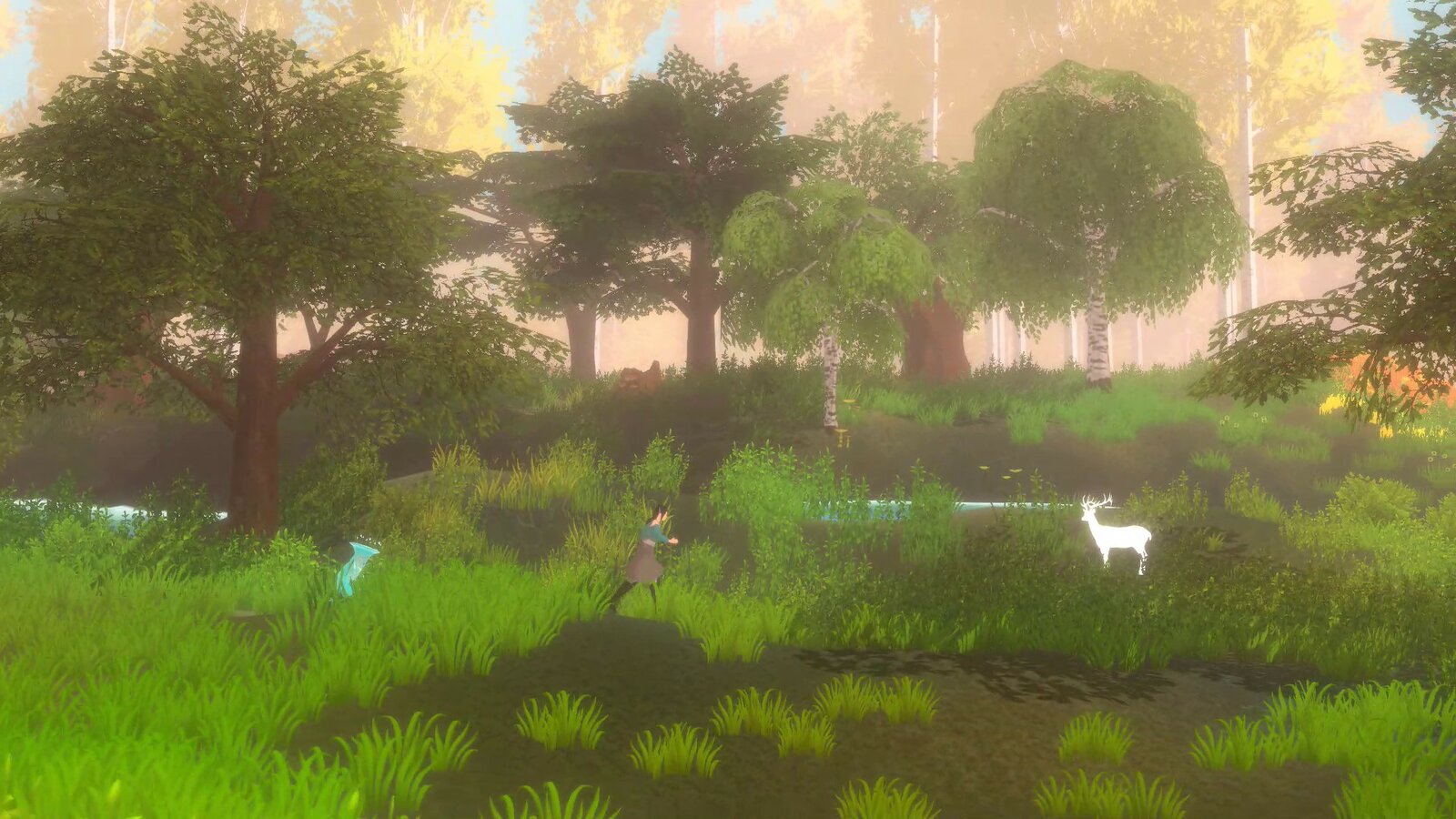 Forgotten Fields