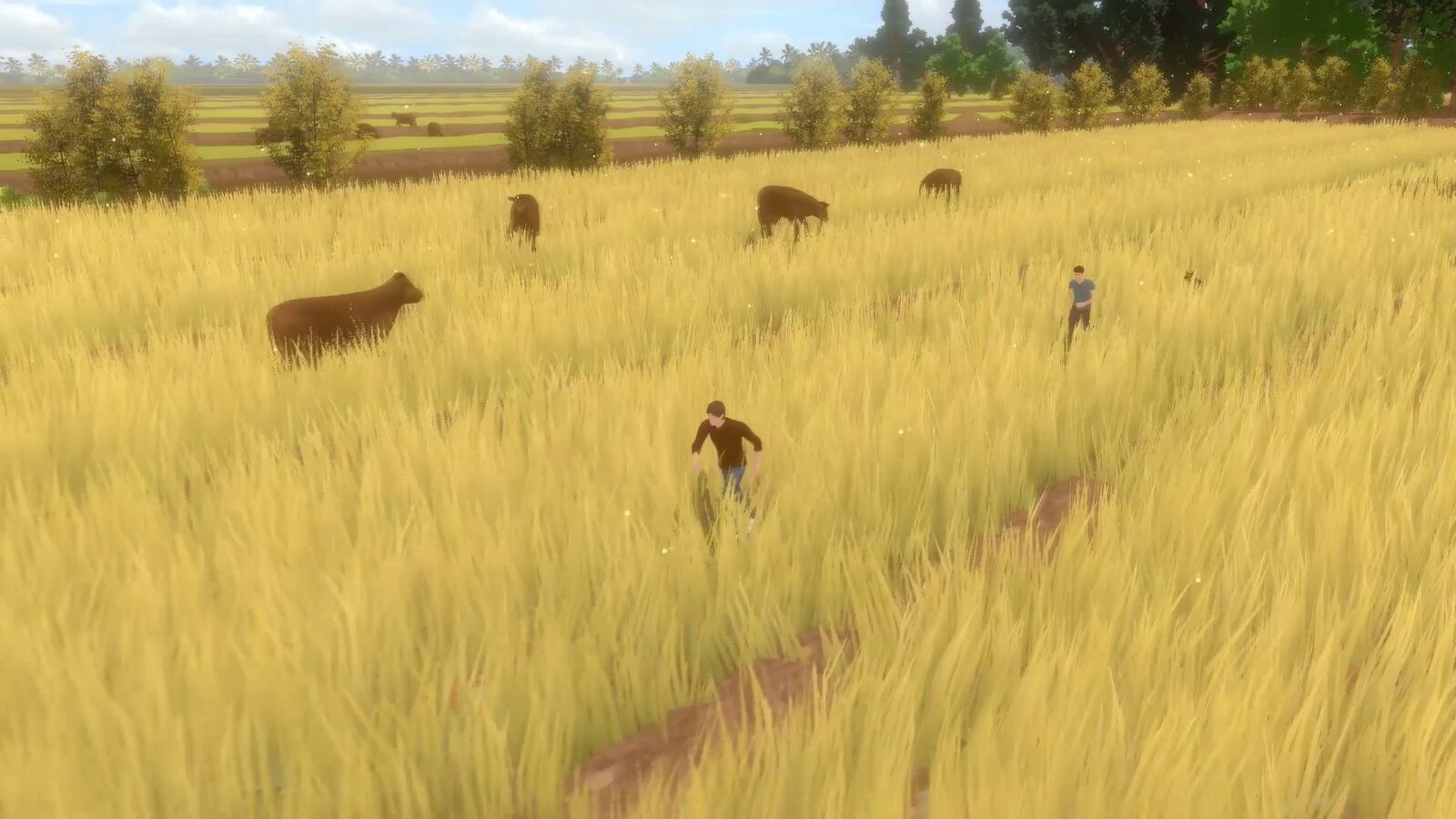 Forgotten Fields