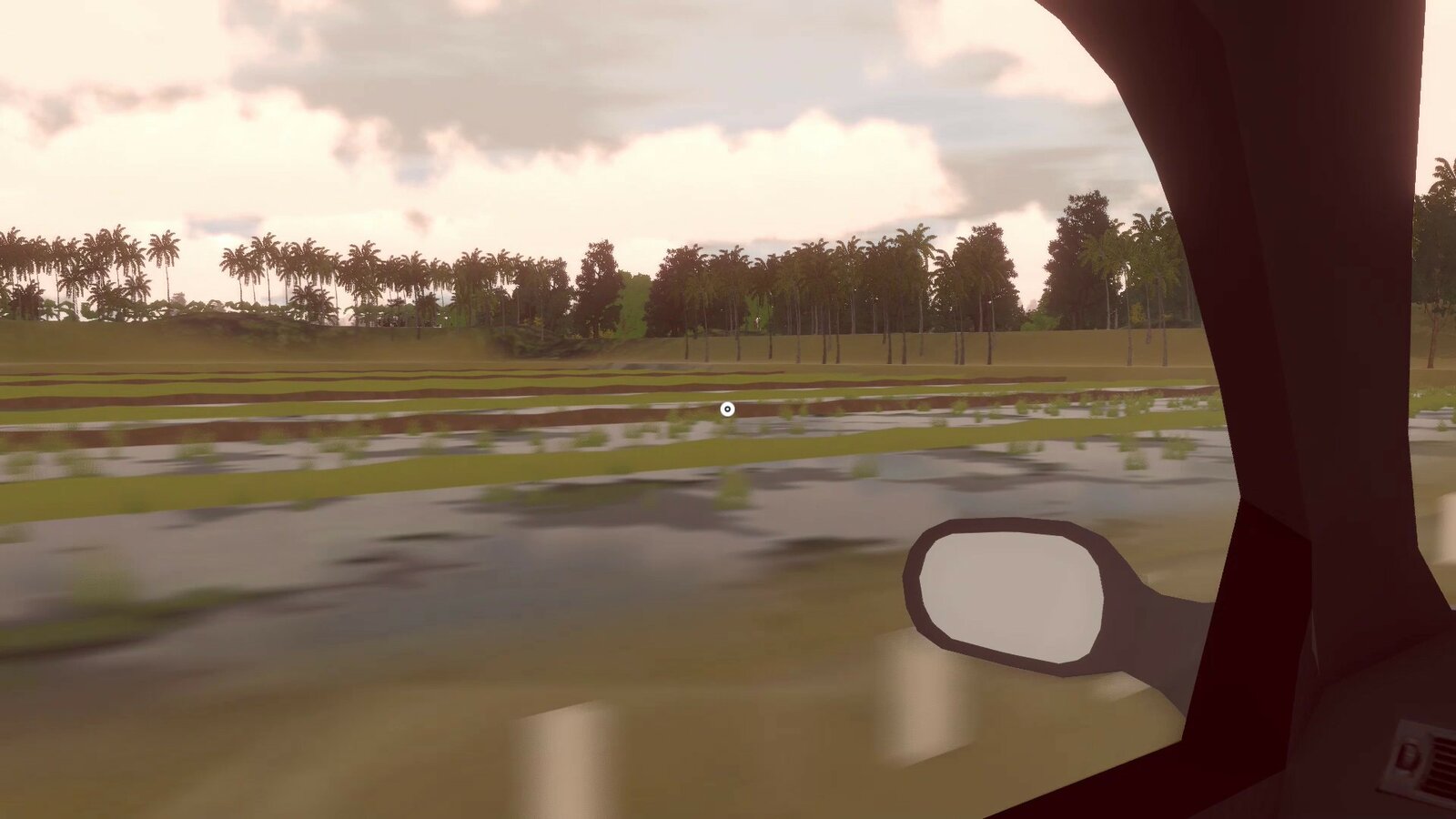 Forgotten Fields