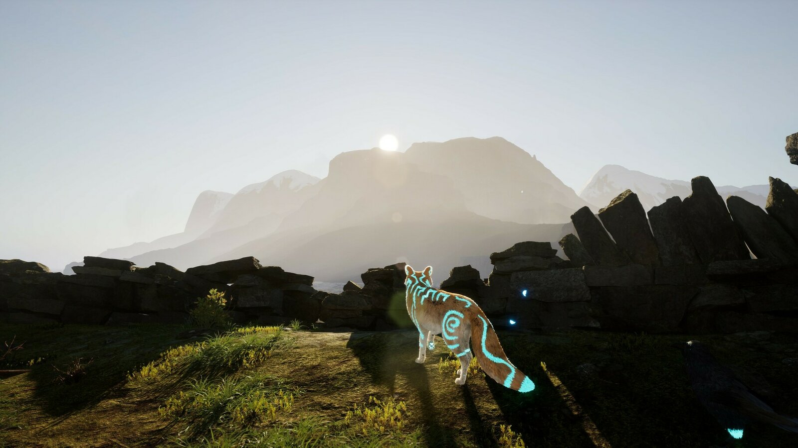 Spirit of the North 2