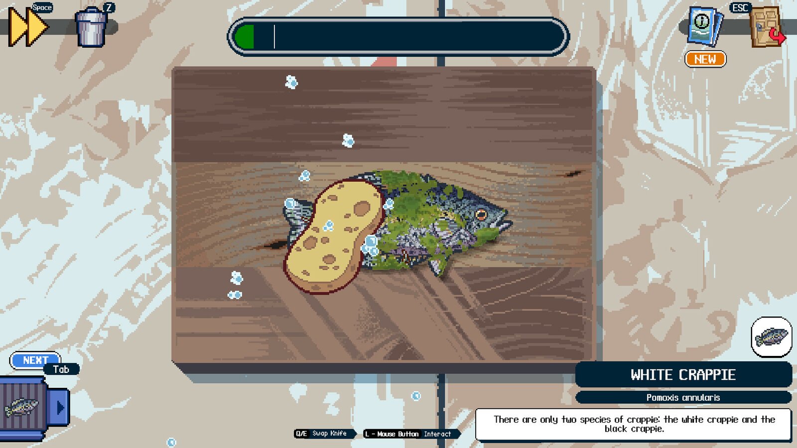 Scale the Depths