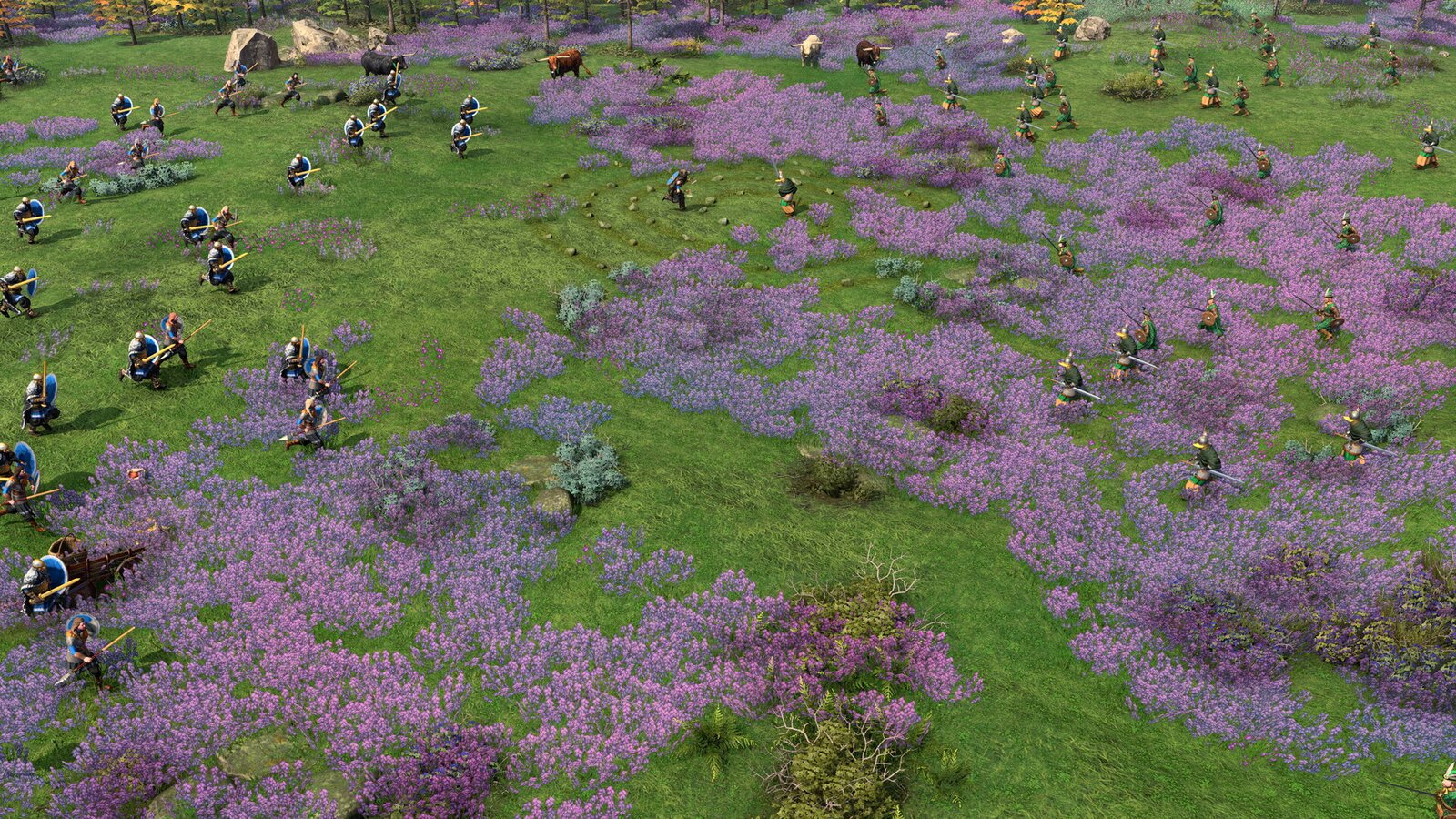 Age of Empires IV: Raiders of the North