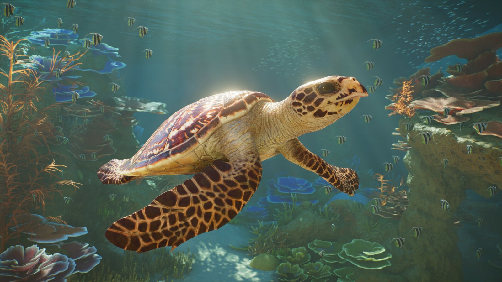 Planet Zoo 2