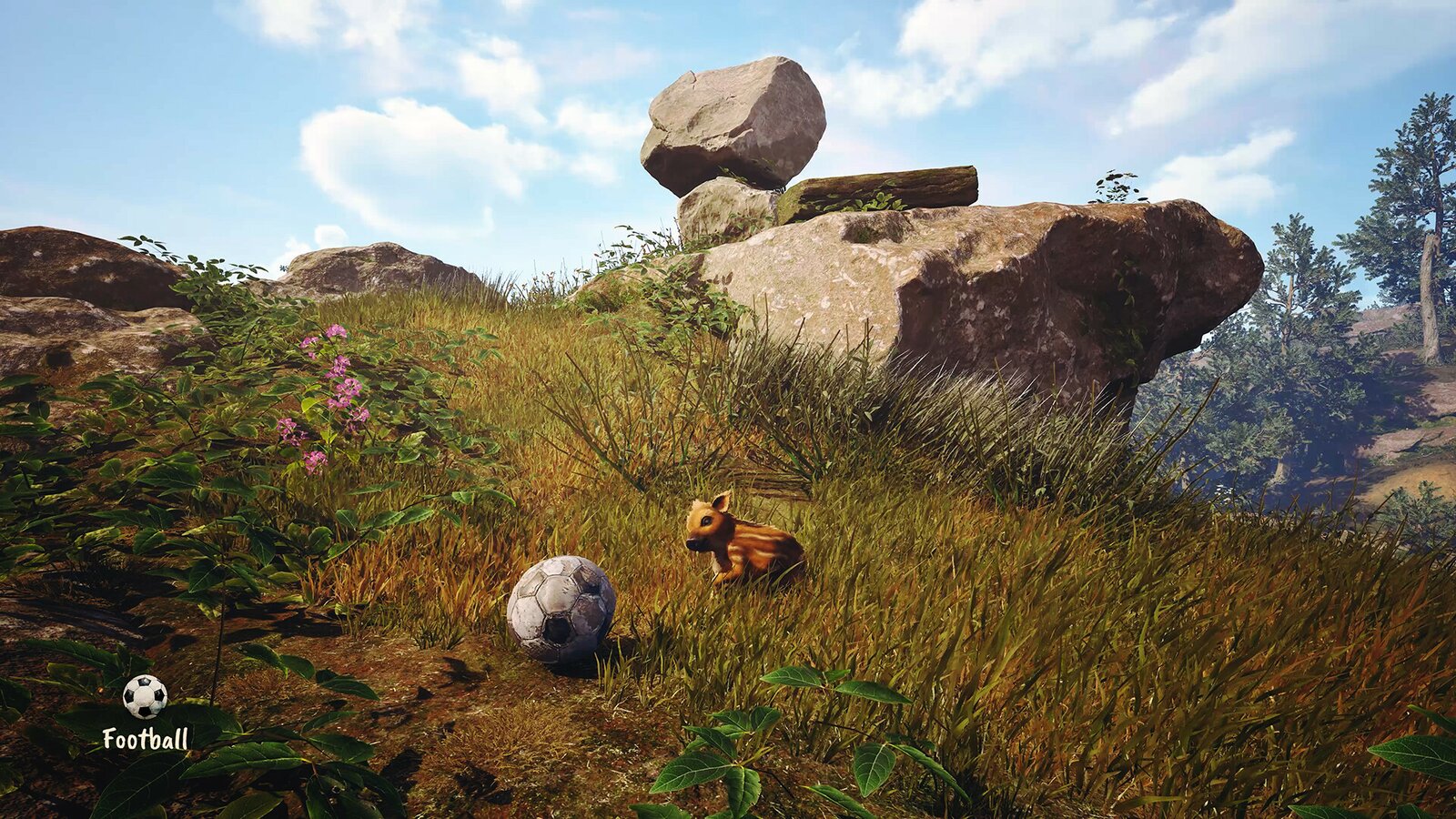 Adorable Adventures