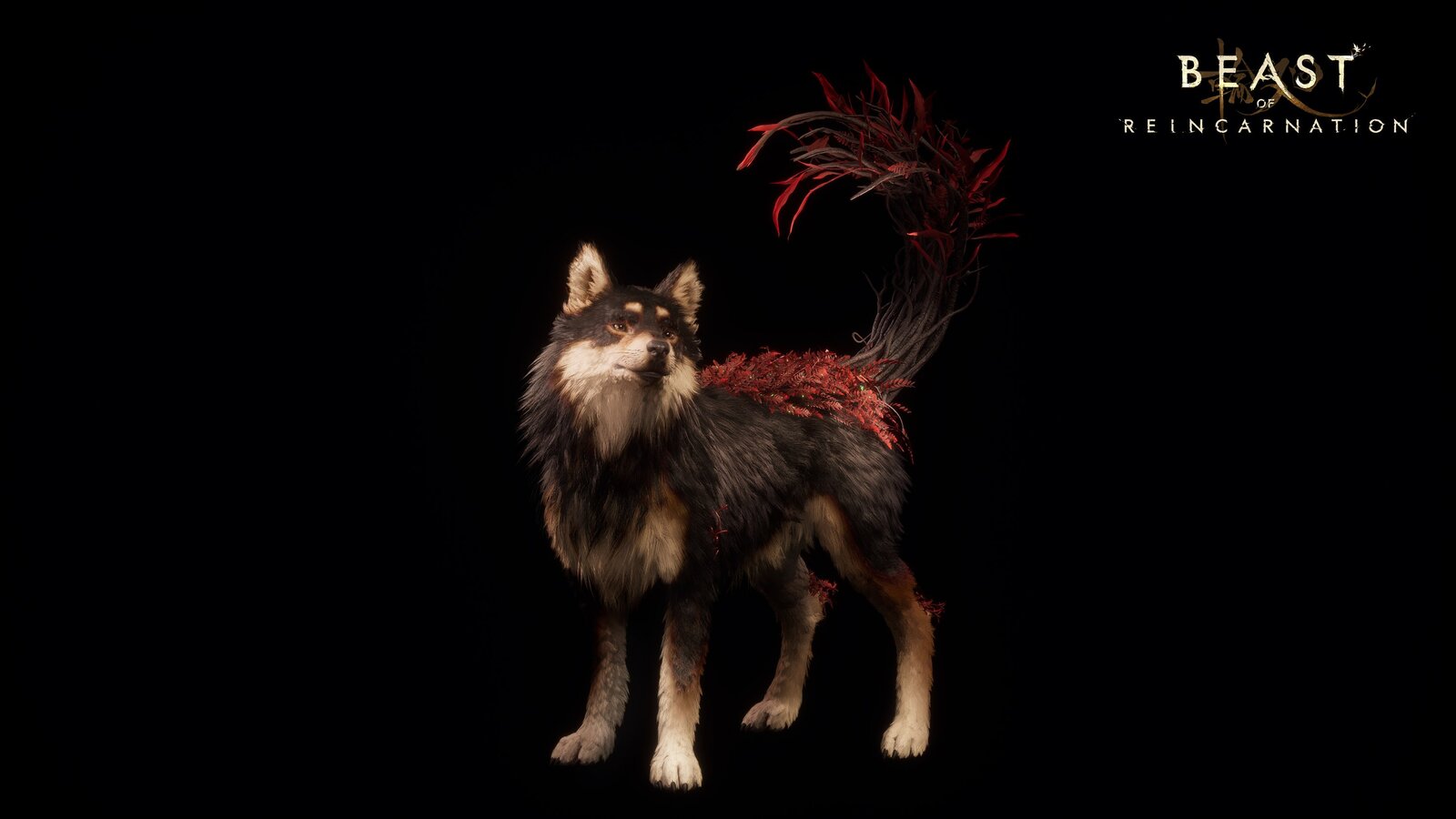 Beast of Reincarnation - Deluxe Edition