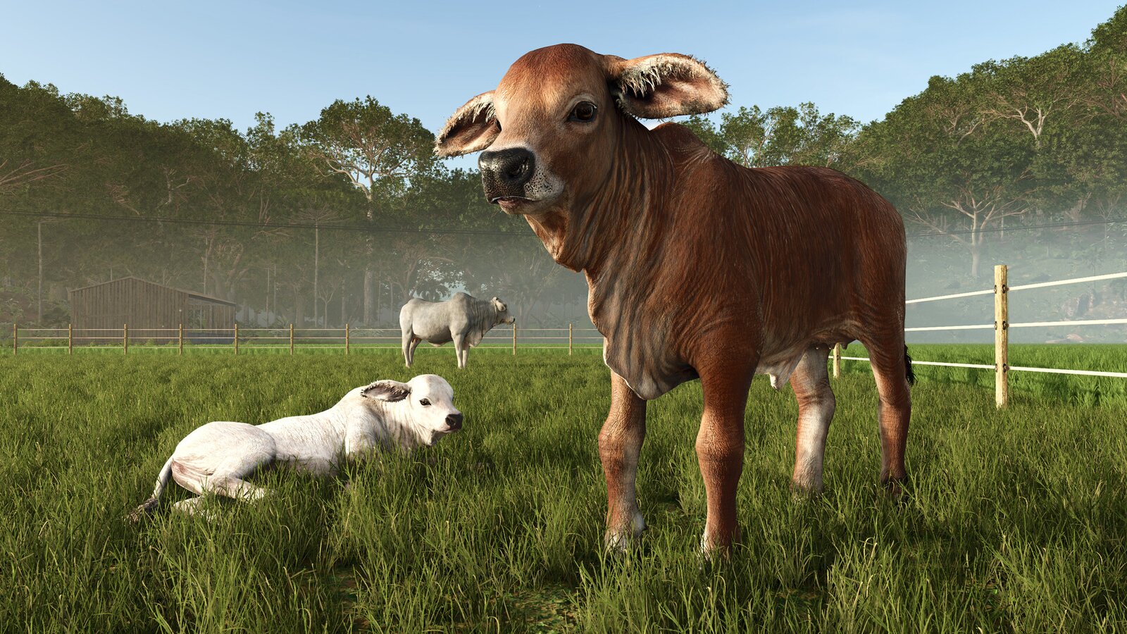 Farming Simulator 25: Beans & Alpacas Expansion