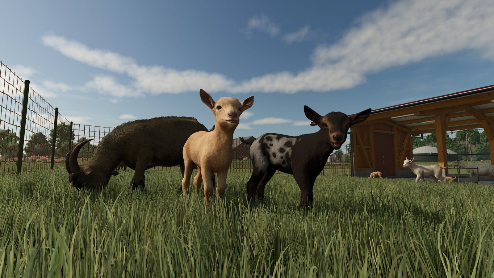 Farming Simulator 25: Beans & Alpacas Edition