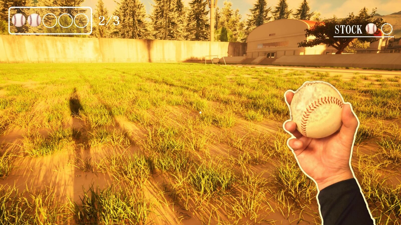 BALL BOY Simulator