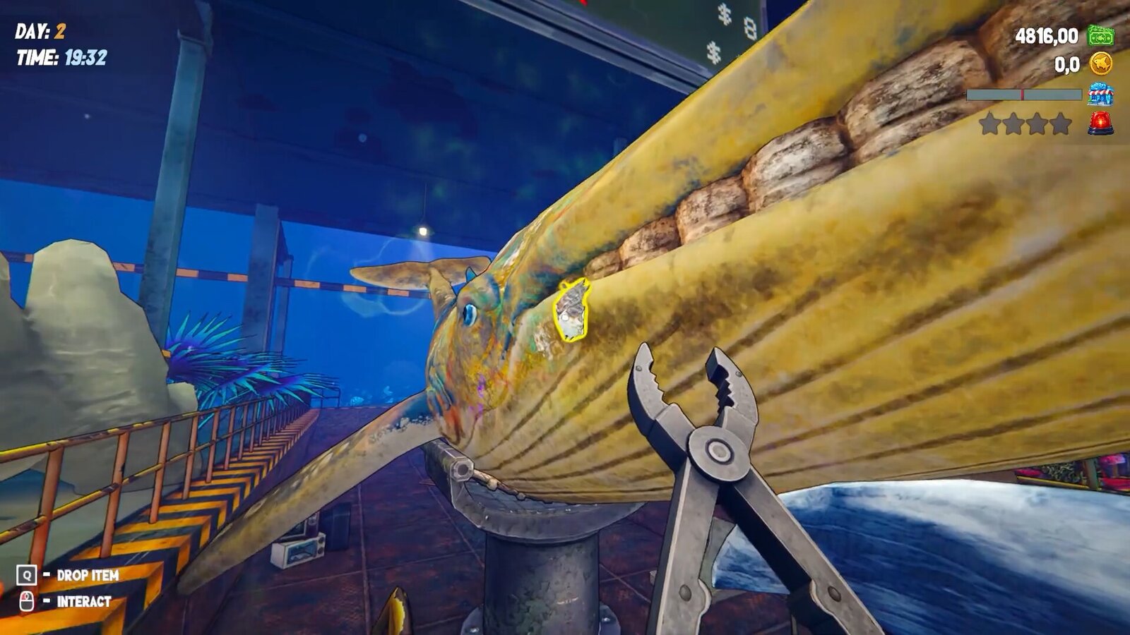 Shark Mart