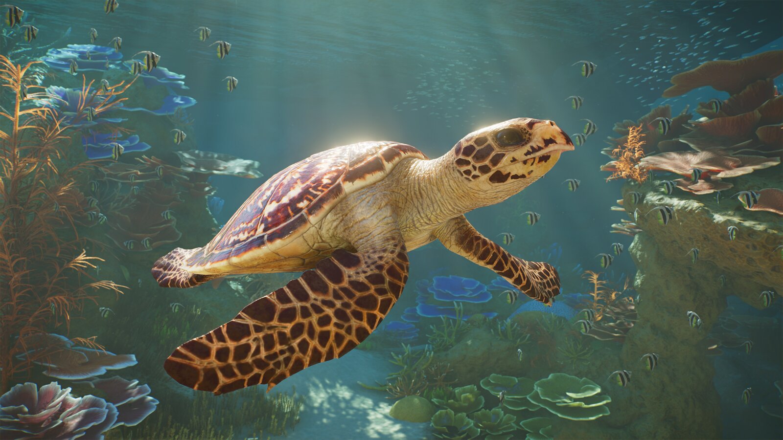 Planet Zoo 2 - Deluxe Edition
