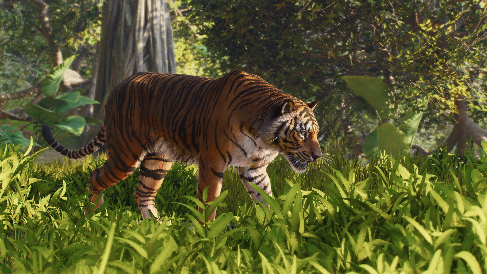 Planet Zoo 2 - Deluxe Edition