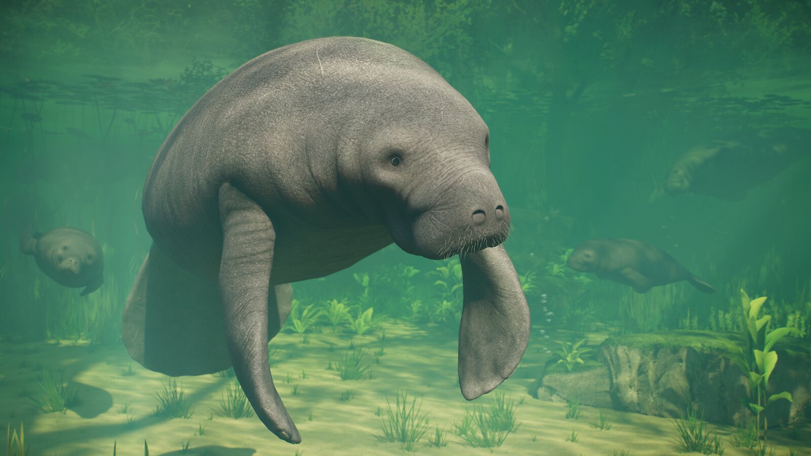 Planet Zoo 2 - Deluxe Edition